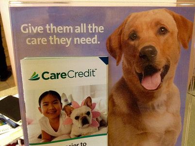 CareCredit ad with dog