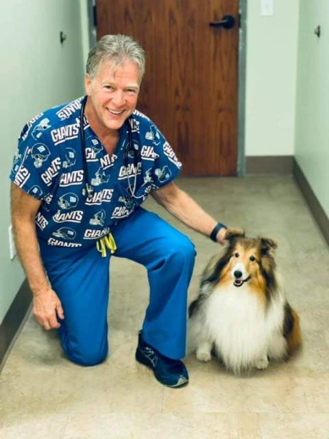 Dr. Watson, Veterinarian at Pinetree Animal Hospital